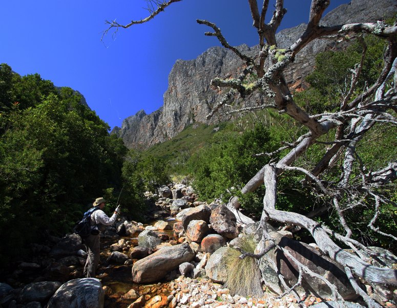 Lourens River (13)