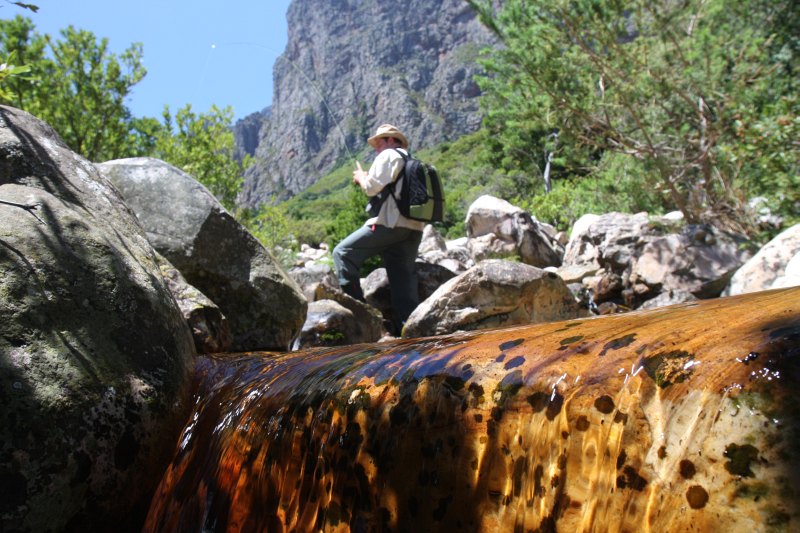 Lourens River (17)