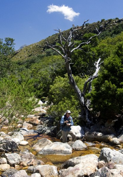 Lourens River (21)