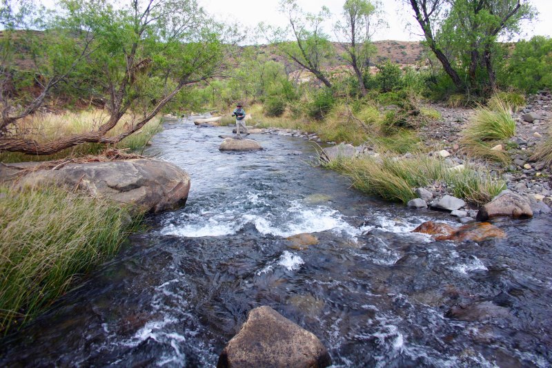 Lupela Karnemelk impressions