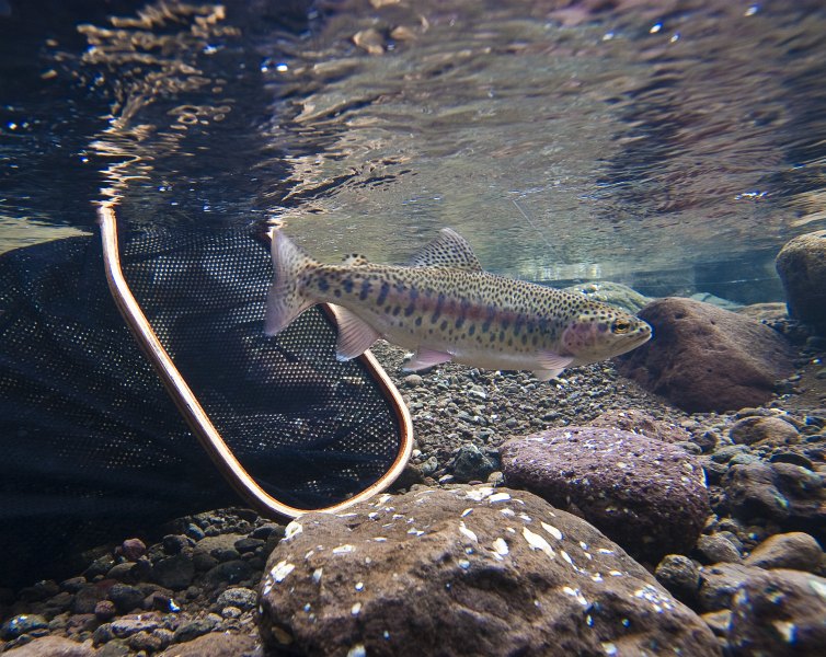 Lupela Lodge impressions (1)