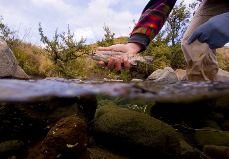 Lupela Lodge impressions (2)