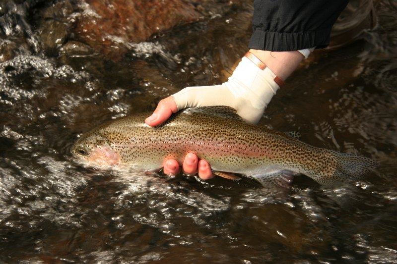 Lupela Lodge impressions (5)