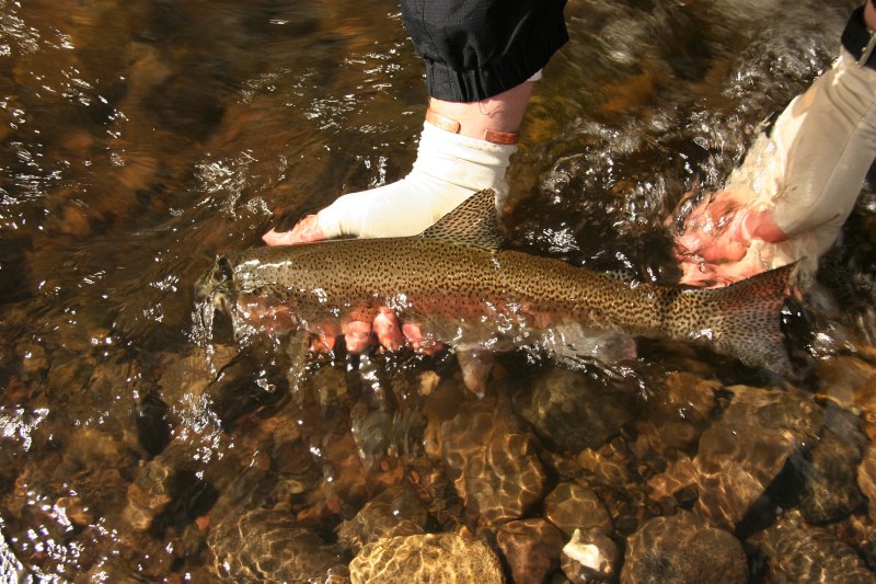 Lupela Lodge impressions (6)