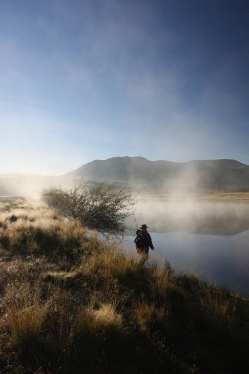 Morning mist