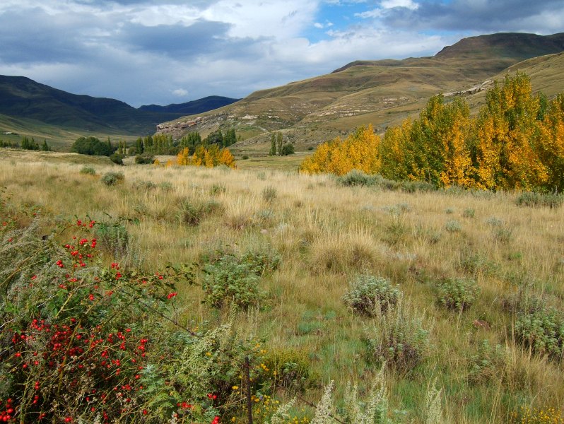 Near the Riflespruit