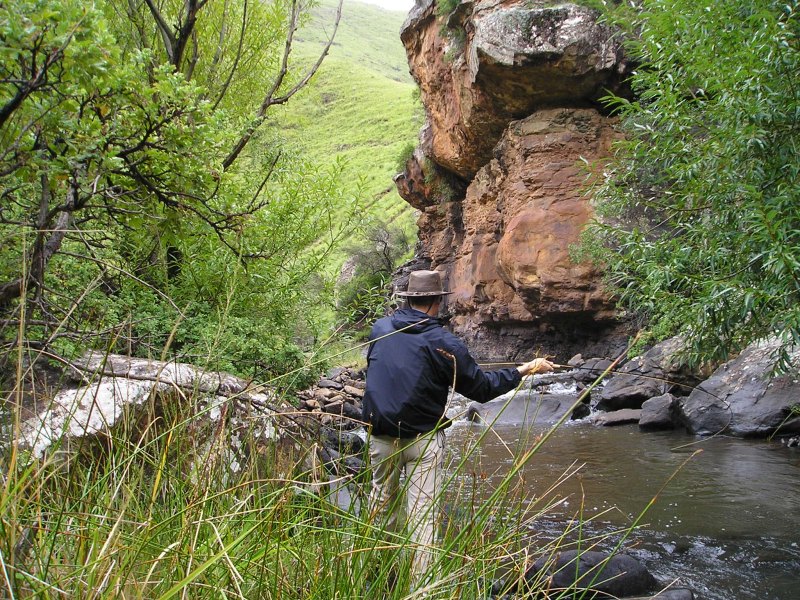 Phill Hills Swith Stream