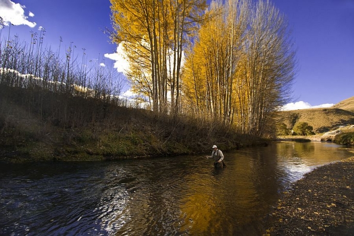 A poplar landscape on Branksome