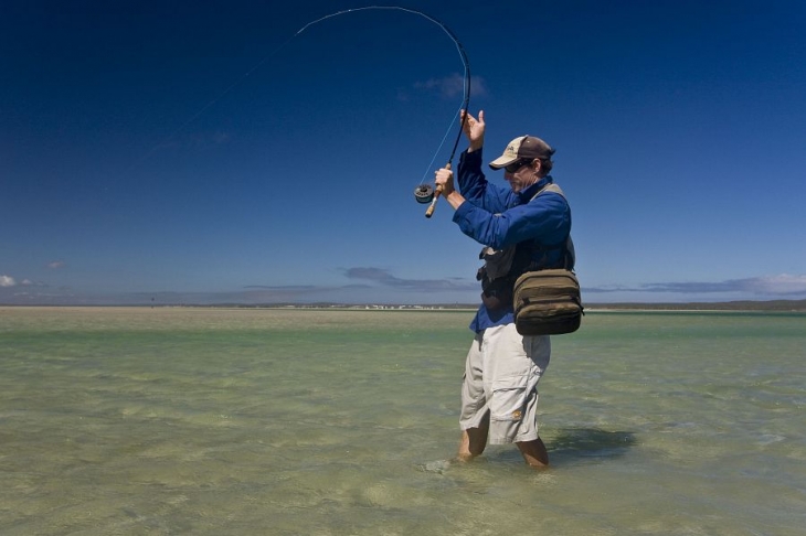 Sand shark essay (95)