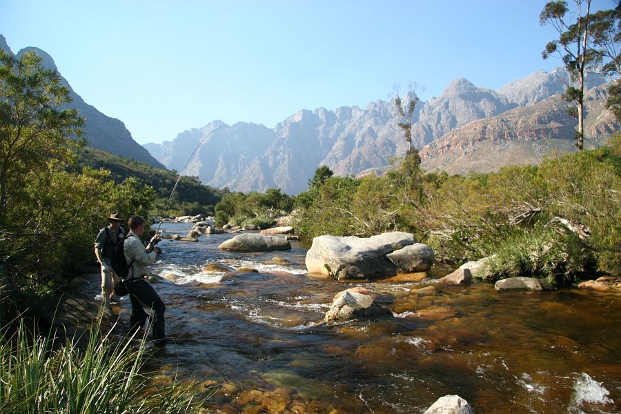 Smalblaar scenes (4)