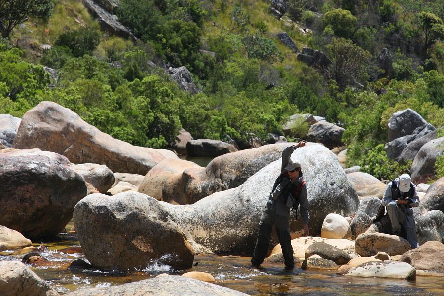 Smalblaar scenes (7)