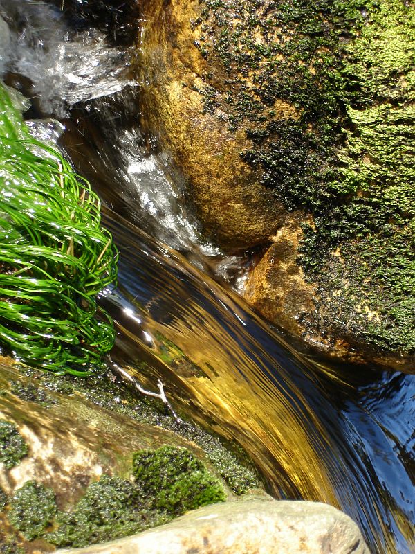 Small streams (10)