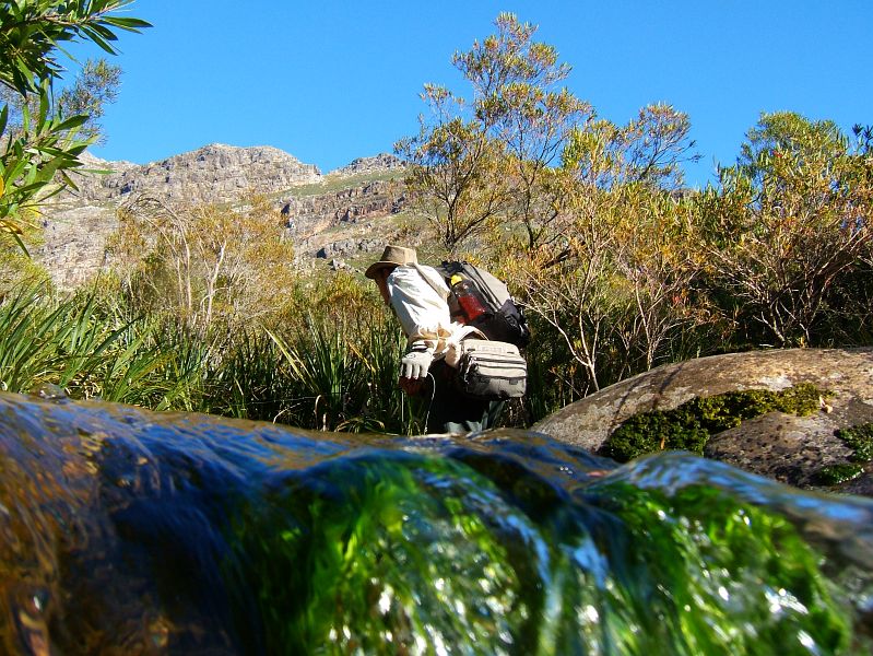 Small streams (15)