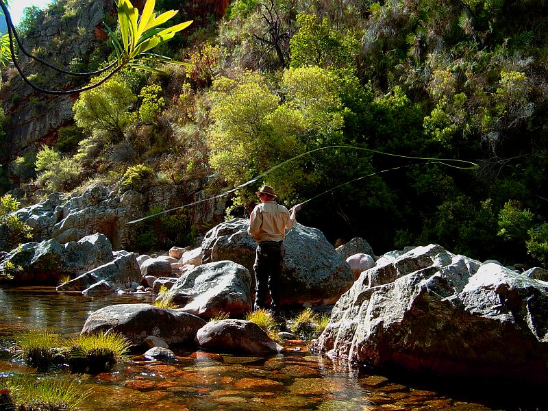 Small streams (1)