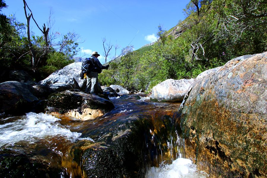 Small streams (21)