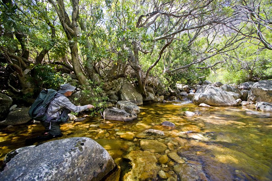 Small streams (22)