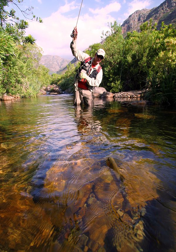 Small streams (24)