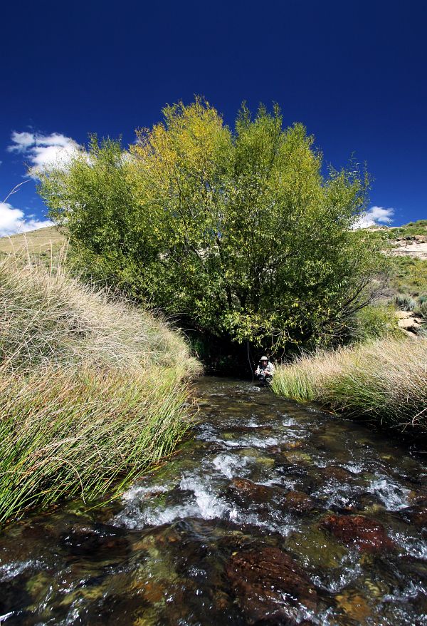 Small streams (25)