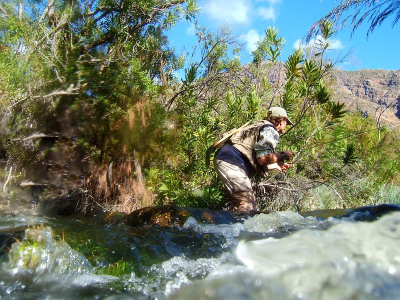 Small streams (2)