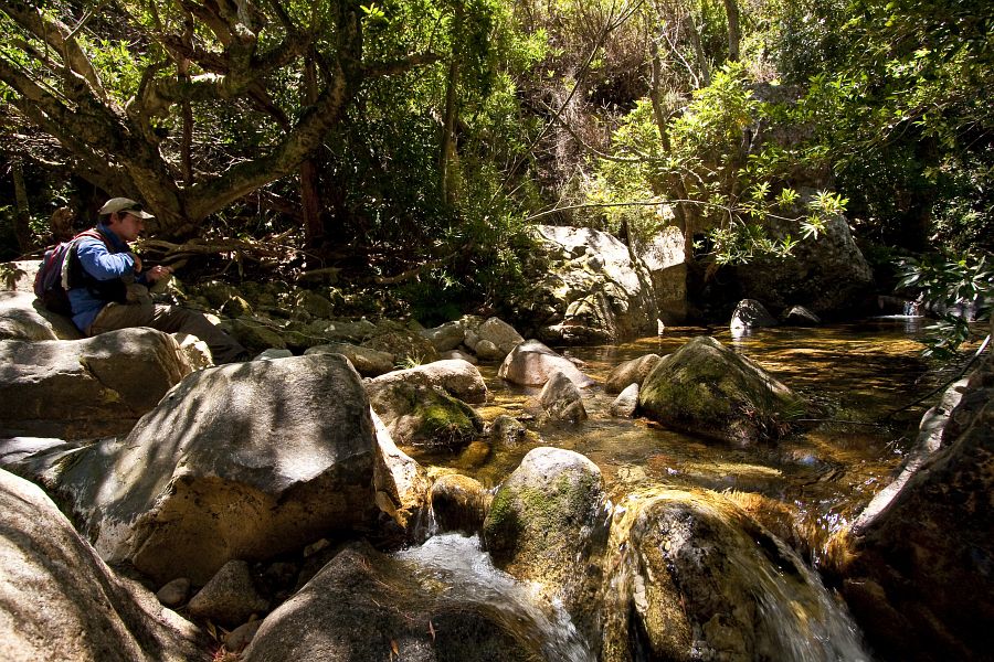 Small streams (3)