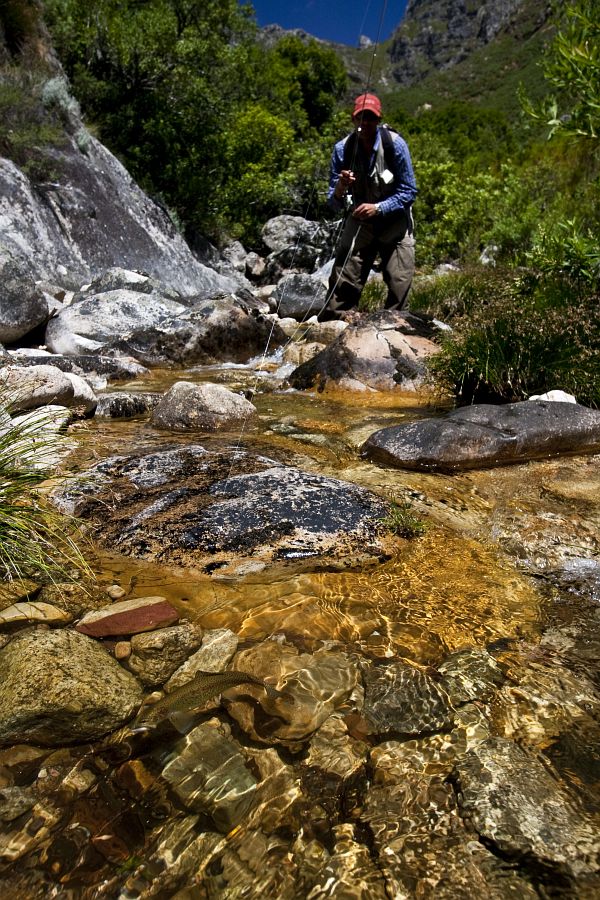 Small streams (6)