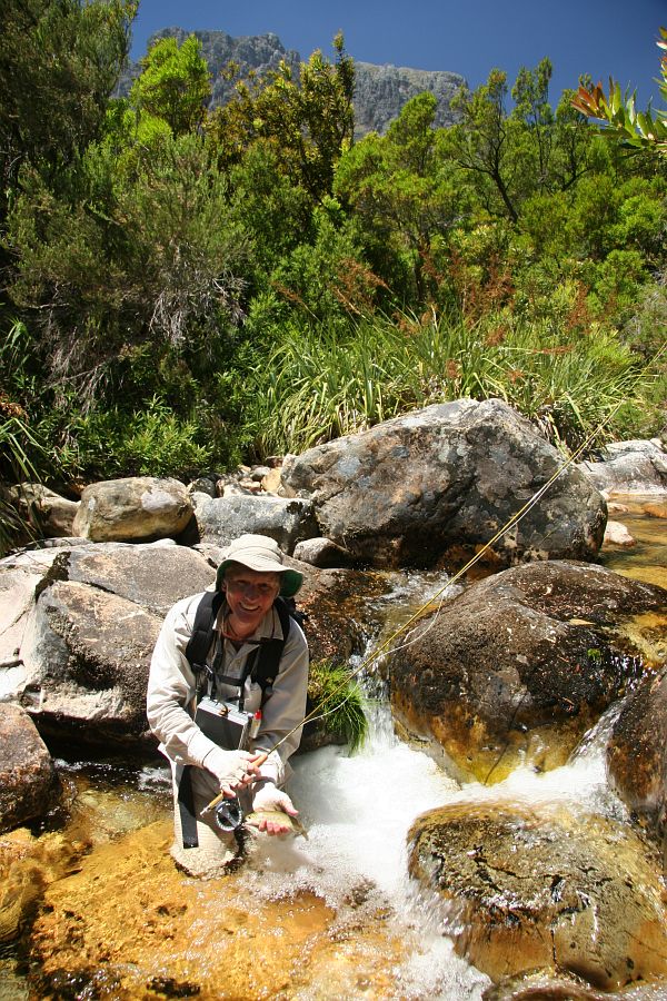 Small streams (7)
