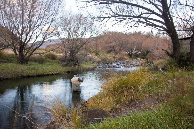 The Cheese Factory Gunter Kickhofel