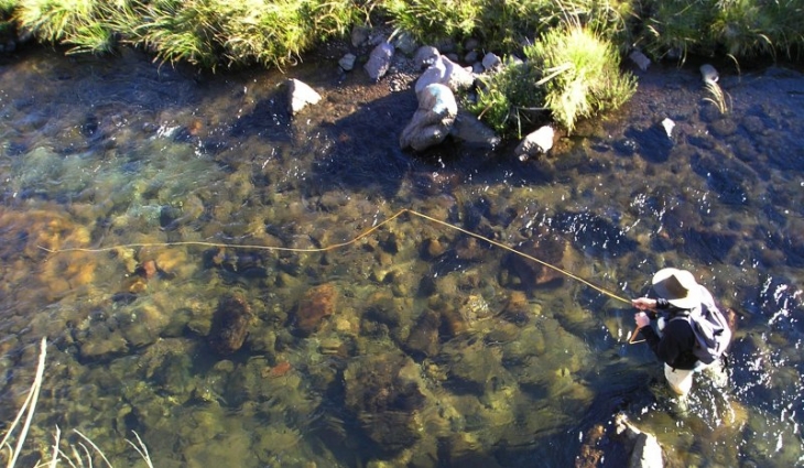 The resinous water of the Bokspruit on top of the Berg 