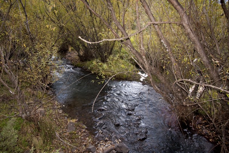 The Swith at the little road bridge
