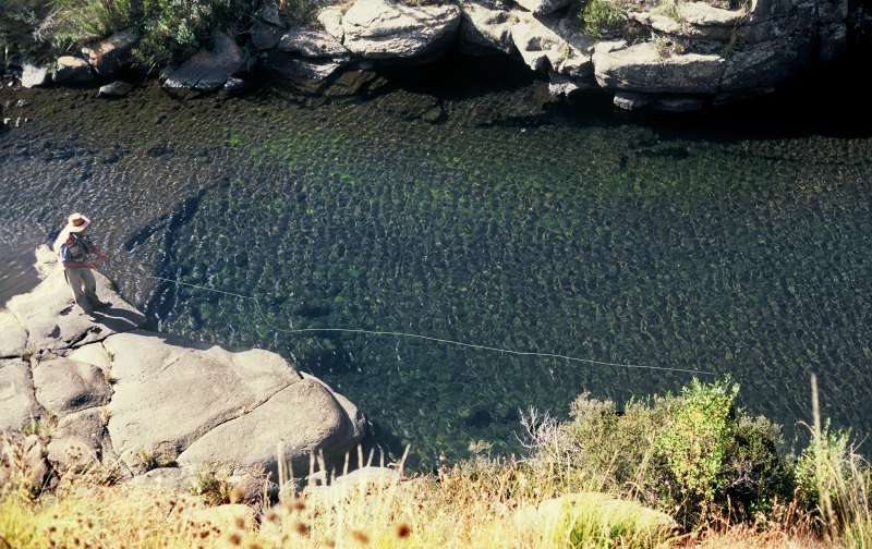 Tom Sutcliffe fishing Gateshead (2)