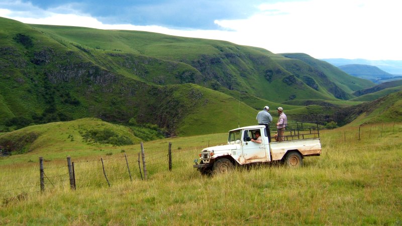 Trip into the Swith gorge