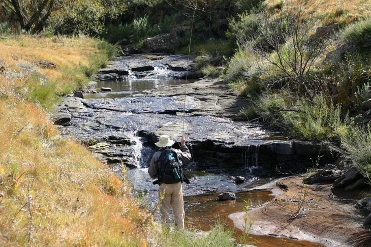 Vrederus Bradgate Stream (8)