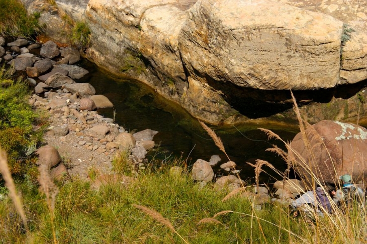 Willow stream, Balloch (11)