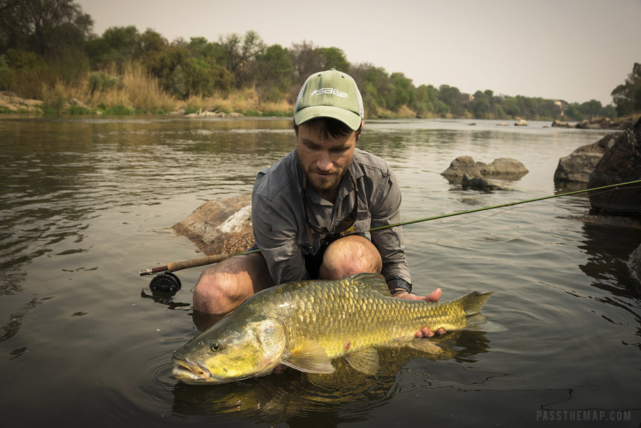 Better Bow and Arrow Cast: Video - Fly Fishing, Gink and Gasoline, How to  Fly Fish, Trout Fishing, Fly Tying