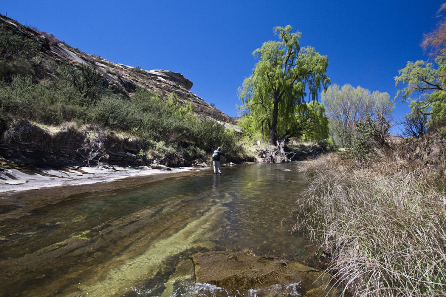 149 Sterkdpruit river IMG 9505