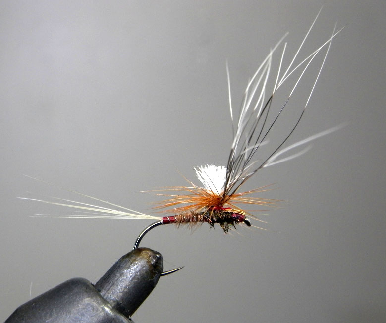 18 Philip Meyer Para Rab