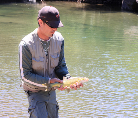 2012 11 28 Kraai Drift 1093