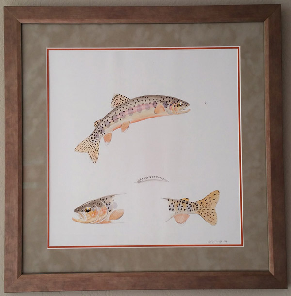 20150212 152015 Kern River Golkden trout