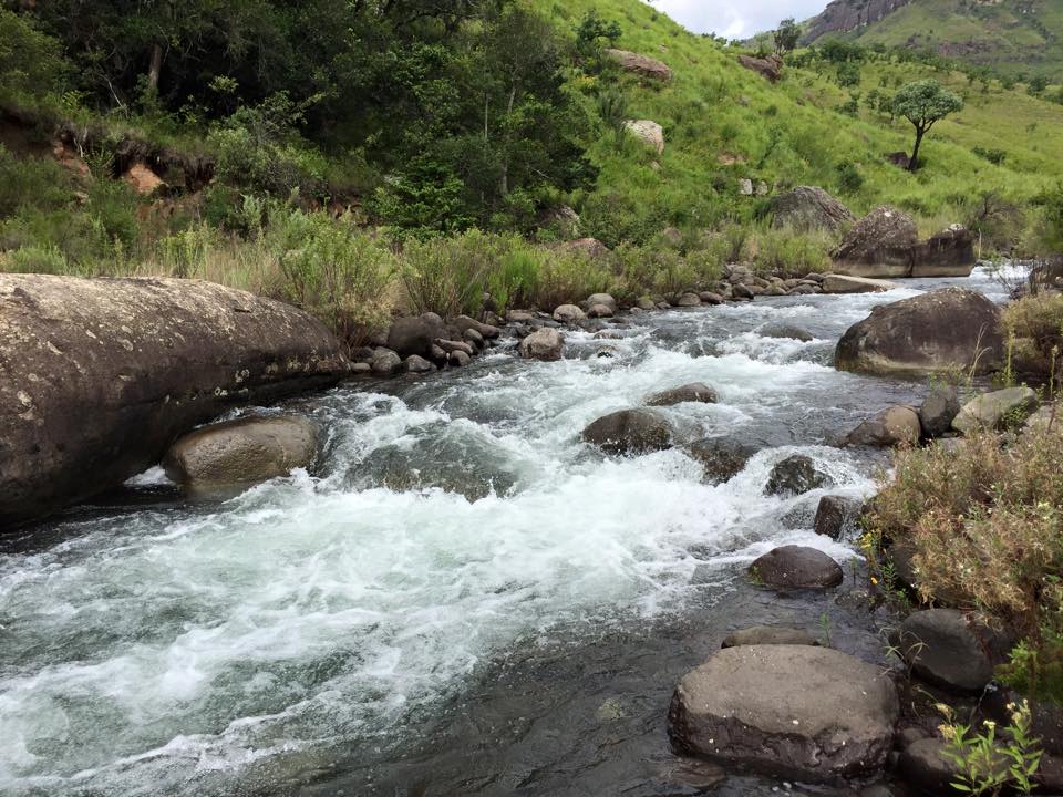 Injasuti-4-by Greg Zeiler