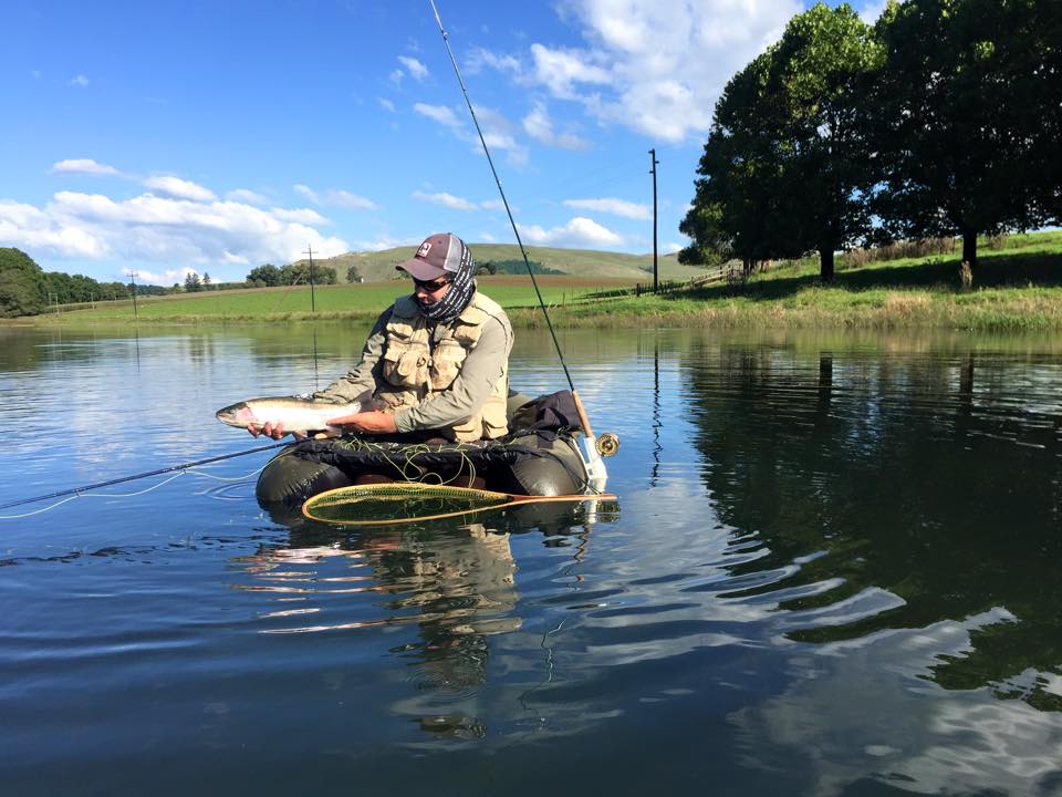 Wayne Stegen-Midlands by John Barr
