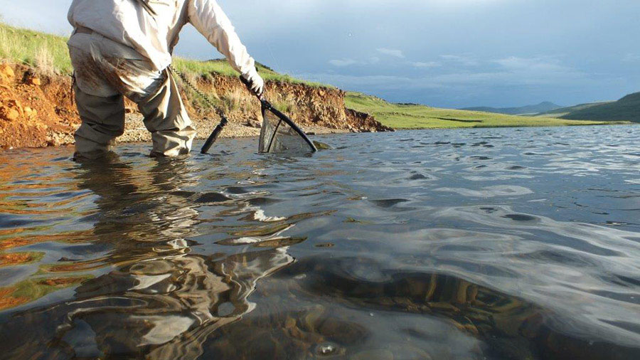 Alan Hobson Sterkfontein Dam 97