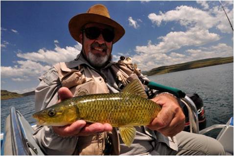 Laurence daies sterkfontein Dam 984