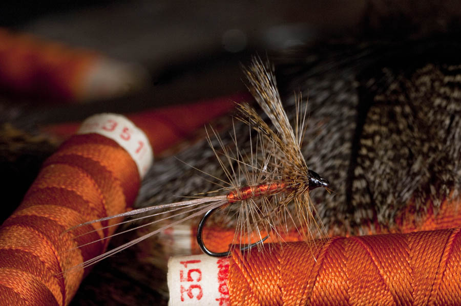 SP Luis Meana dry fly COQ DE LEON DSC 2015