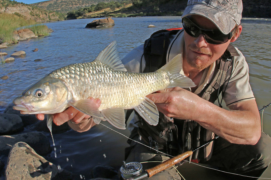 Ryno Egner with Tugela scalie