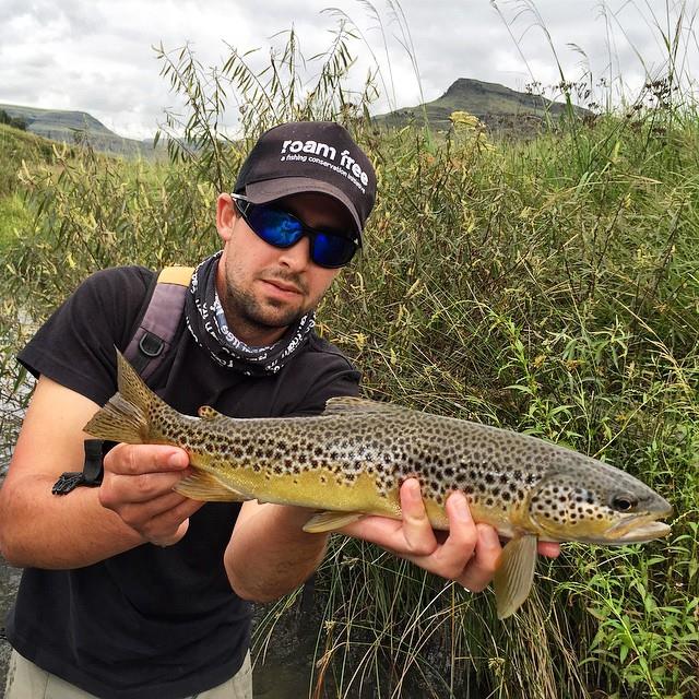 15 33 22 Bushmans brown Rhuan Human