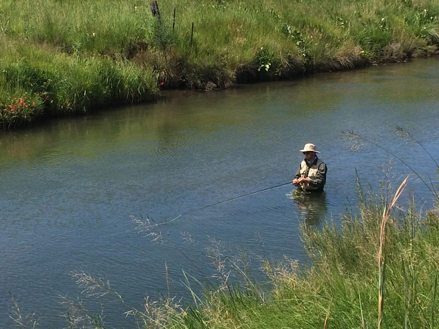 15 88 22 Bushmans brown-Rhuan Human