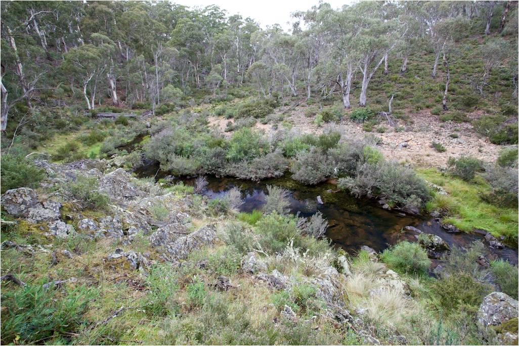 5 Nick Taransky streams 1 2