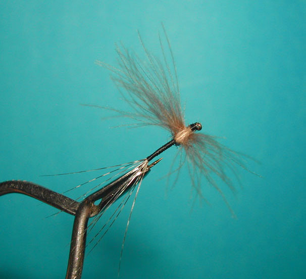 8 Agostino Roncall0 single CDC split wing mayfly 112