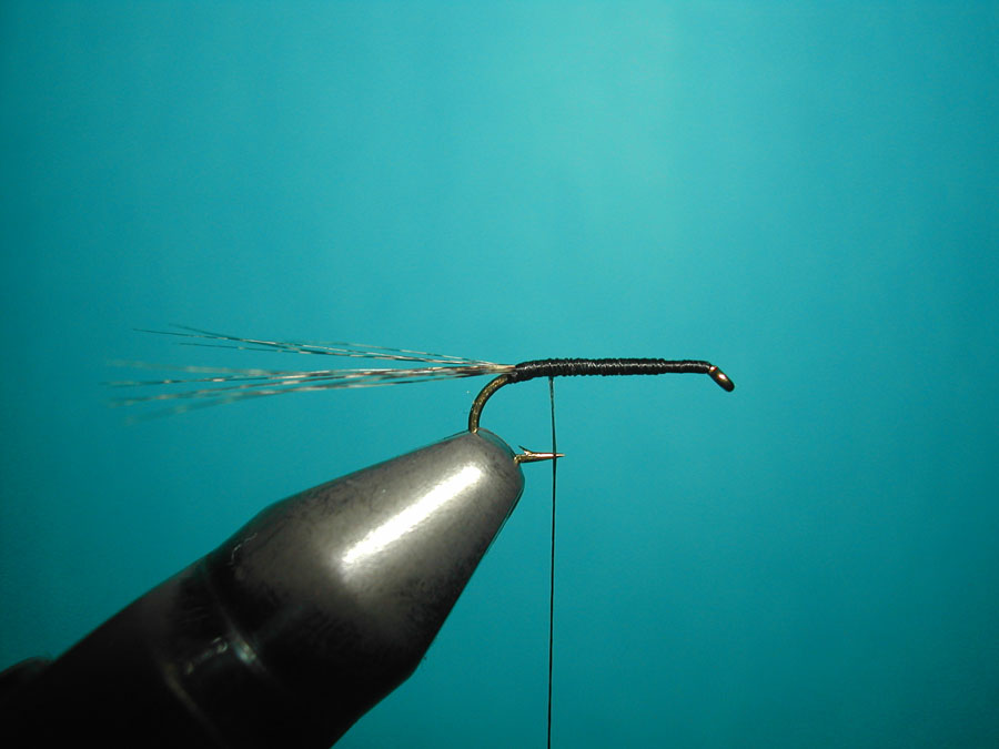 Agostino Roncall0 single CDC split wing mayfly 100