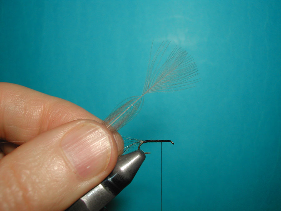 Agostino Roncall0 single CDC split wing mayfly 101